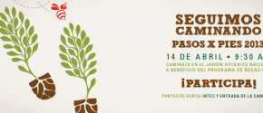 Carrusel Sitio Web INTEC