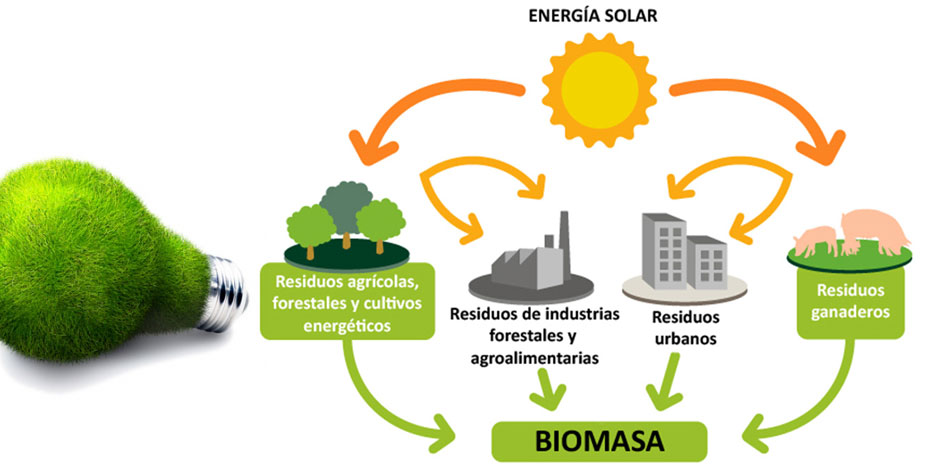 biomasa (1)