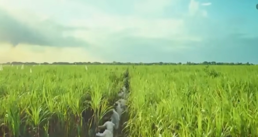 Estudiantes de Cine de INTEC participan en espectáculo de Medio Tiempo del Super Bowl
